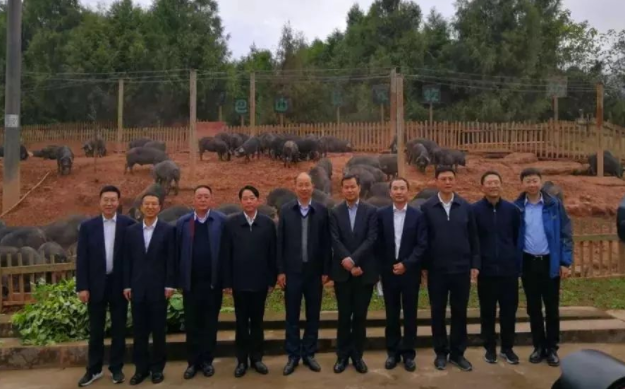 中國(guó)工商銀行黨委書記、董事長(zhǎng)易會(huì)滿一行來(lái)巴山牧業(yè)調(diào)研